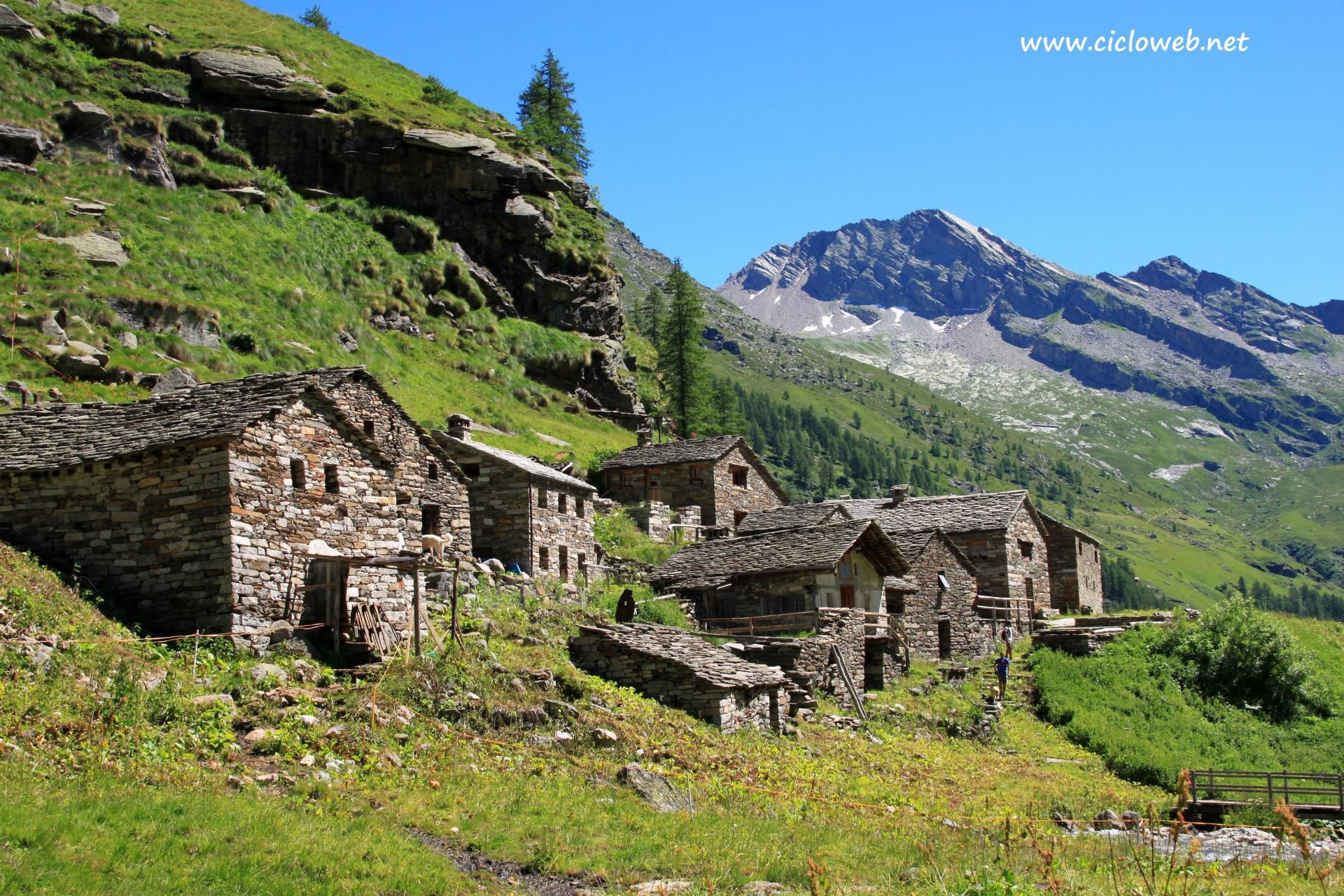 027 - Alpe Bors e rifugio Crespi Calderini, sullo sfondo il Monte Rosa.jpg